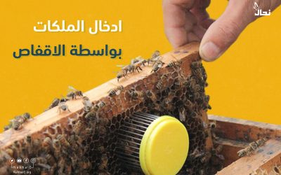 إدخال الملكات بواسطة الأقفاص
