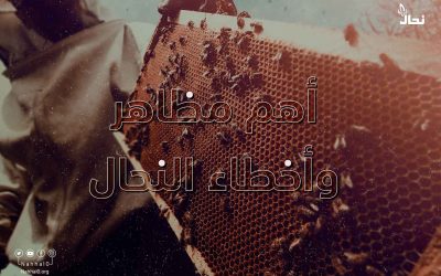 أهم مظاهر وأخطاء النحال