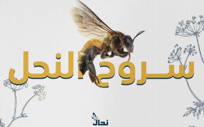 سلوك النحل أثناء السروح