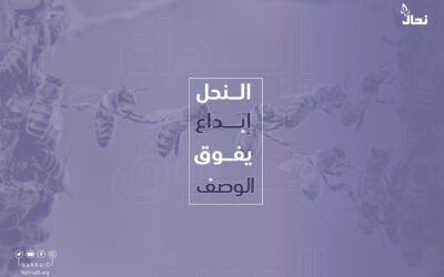 النحل إبداع يفوق الوصف