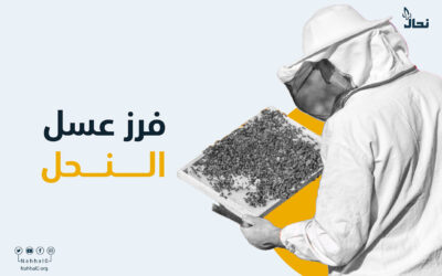 فرز عسل النحل