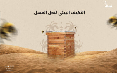 التكيف البيئي لنحل العسل