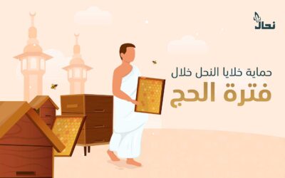 حماية خلايا النحل خلال فترة الحج