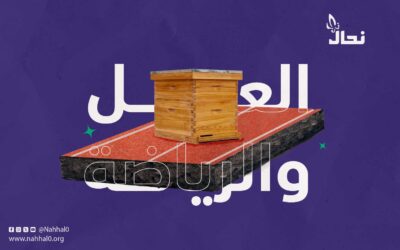 العسل والرياضة