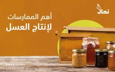 أهم الممارسات لإنتاج العسل