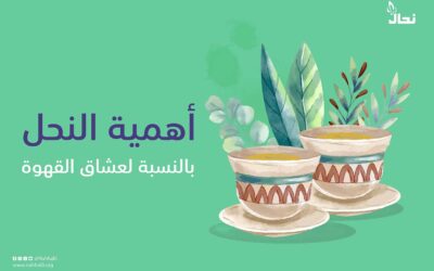 أهمية النحل بالنسبة لعشاق القهوة