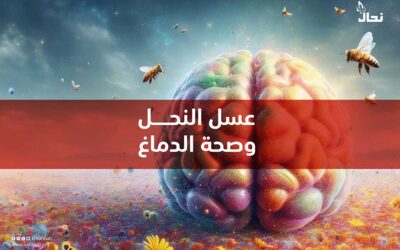 عسل النحل وصحة الدماغ
