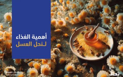 أهمية الغذاء لنحل العسل