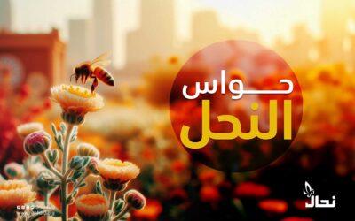 حواس النحل
