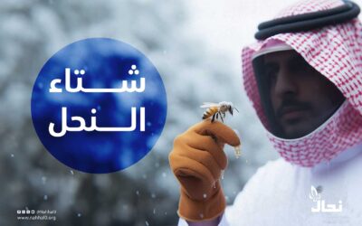 شتاء النحل