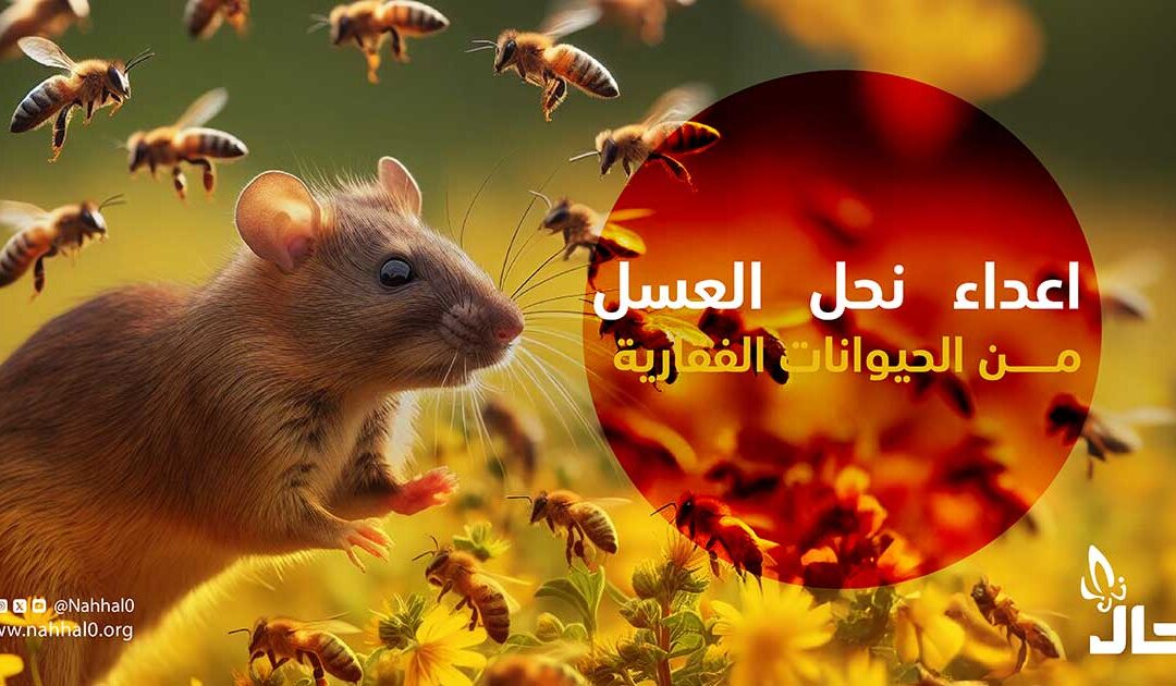 أعداء نحل العسل من الحيوانات الفقارية