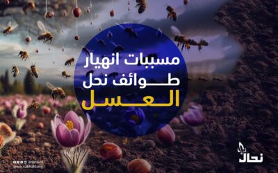 مسببات انهيار طوائف نحل العسل