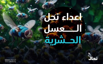 أعداء نحل العسل الحشرية