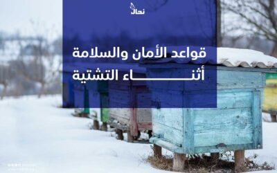 قواعد الأمان والسلامة أثناء التشتية