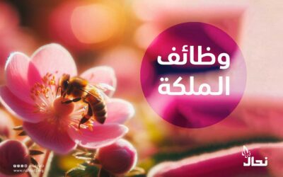 وظائف ملكة النحل