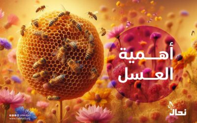 أهمية العسل