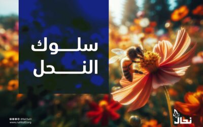 سلوك النحل