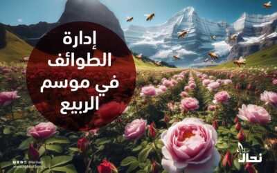 إدارة الطوائف في موسم الربيع