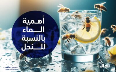 أهمية الماء بالنسبة للنحل