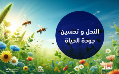 النحل وتحسين جودة الحياة