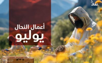 المفكرة السنوية للنحال السعودي – أعمال النحال يوليو