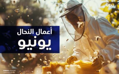 المفكرة السنوية للنحال السعودي – أعمال النحال يونيو