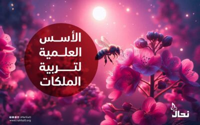 الأسس العلمية في تربية ملكات النحل