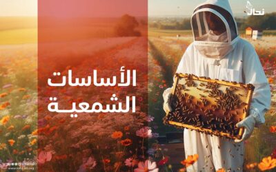 الأساسات الشمعية