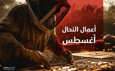 المفكرة السنوية للنحال السعودي – أعمال النحال أغسطس