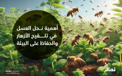 أهمية نحل العسل في تلقيح الأزهار والحفاظ على البيئة