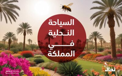 السياحة النحلية في المملكة