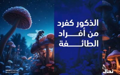 الذكور كفرد من أفراد الطائفة