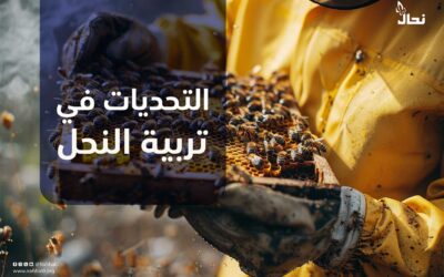 التحديات في تربية النحل