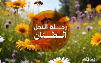 رحلة النحل الطنان